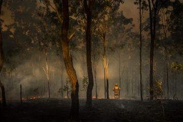 Bushfires - Banner